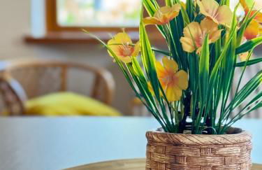 Residenza Bouganville - Foto 3