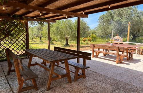Casa RiVa - Among olive trees and the Tuscan coast - Foto 21