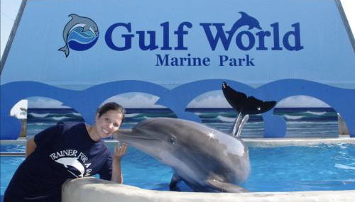 Beachfront Bliss Awaits: 2-bed, 2-bath Condo at Sterling Reef - Sleeps 6! - Foto 1, Other