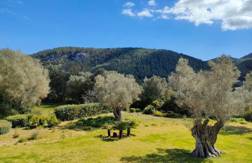 Sa Tafona Esporles "Finca Son Quint" - Photo 66