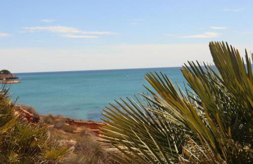 Lobo en Cabo Apartment, Cabo Roig , Orihuela Costa - Photo 23