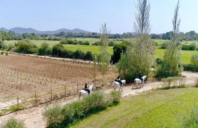 Finca Agroturismo Son Menut - Foto 7