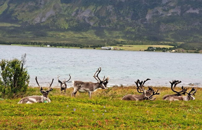 6 Person Holiday Home in Svensby-by Traum - Foto 28