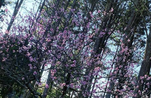 Rancho 3108 - Foto 5