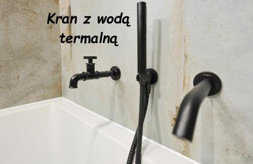 Loft Apartments 2 Uniejów - Foto 23