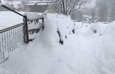 El Estacho de Panticosa - Photo 41