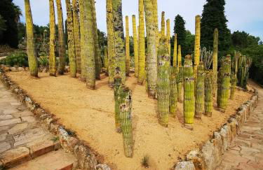 La LLar de la Kim, Bonita casa a 150m del mar y 40km de Barcelona - Foto 53