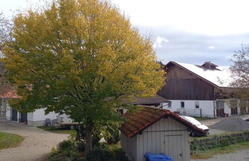 Ferienhof Metzler - Foto 30