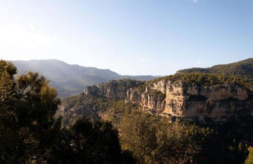 VINYES DEL PRIORAT - Foto 17