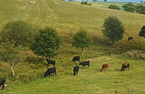 The Stables at Eriviat Hall - Foto 40