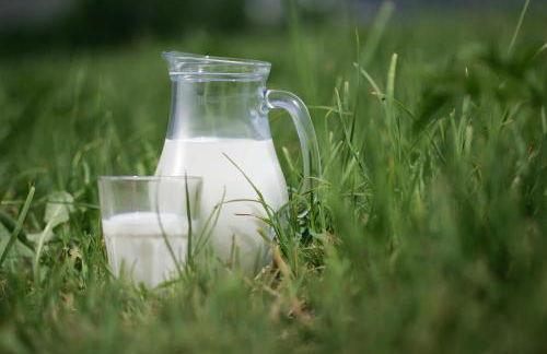 Agriturismo Stella Orobica - Foto 32