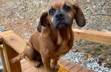 Sleeps 5-6 Near RRG-Hot Tub-Nice Sunrise-Quiet - Foto 72