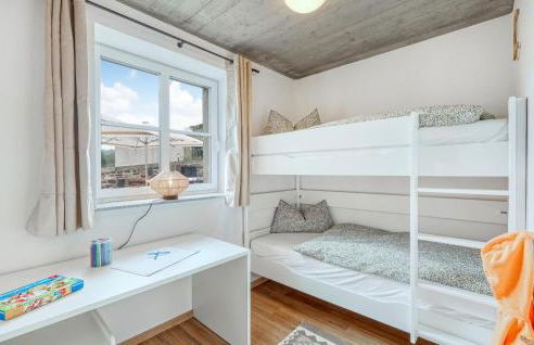 Admiral Vanessa - Foto 30