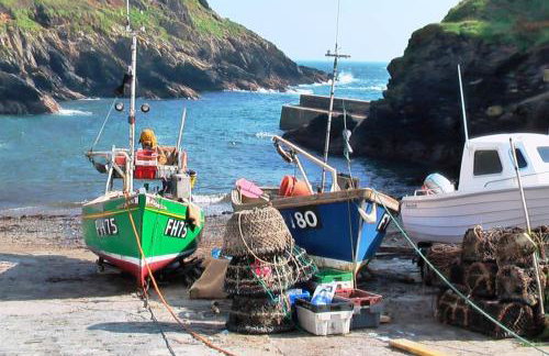 The Snuggery - Photo 20