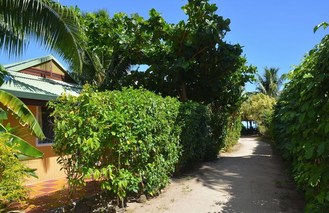 Pension Fare Maheata - Foto 48