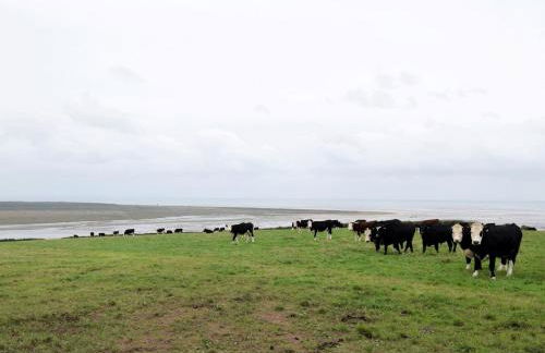 1 Bed in Llansaint 89780 - Photo 23