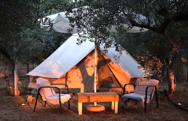 Cocoon Tent in an Olive Grove - Photo 27