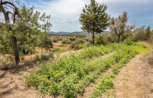 Villa Ca na Roseta - Photo 64