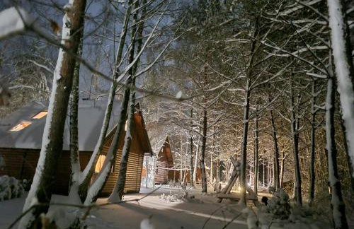 Siedlisko Janopole - Foto 72