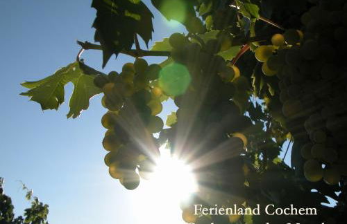 Ferienwohnungen Ferienland Cochem - Foto 7