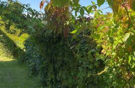 Apartament Pod Zamczyskiem - Photo 9