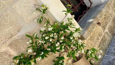 Maison de village rénovée ! - Photo 5