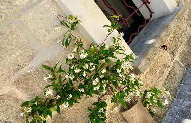 Maison de village rénovée ! - Photo 5