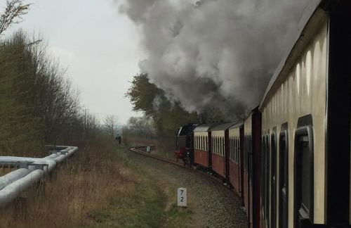 Wohnung Dorschjäger - Foto 29