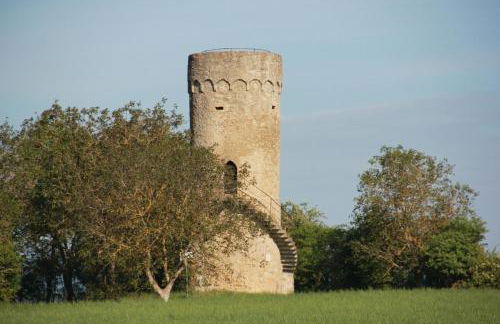 Ferienwohnung am turm - Foto 15