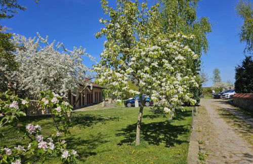 Hof am Meer "Seemöwe" - Foto 19