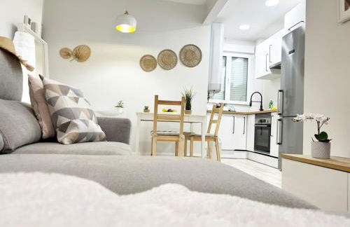 Rastro, Plaza Mayor and Madrid Río - Photo 56