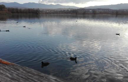 La Casa Sul Lago - Foto 46