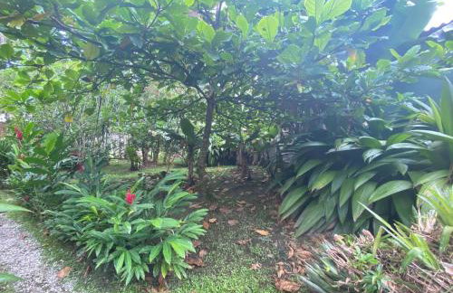 Chácara Gomes - Caiubura - Bertioga - Foto 64