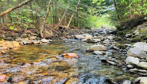 Geodome 1min to Smuggler's Notch with hot tub & River - Foto 5