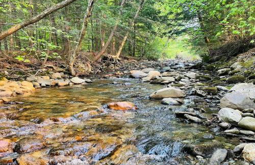 Geodome 1min to Smuggler's Notch with hot tub & River - Foto 5