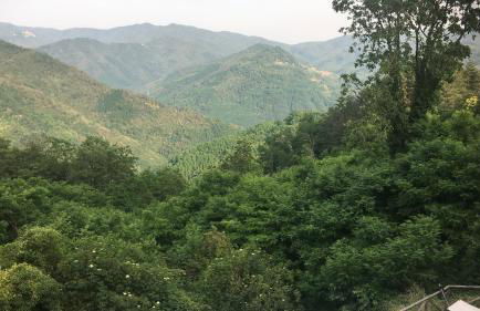 Torre del Duca - Foto 17