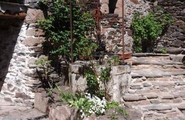 Les pruniers - Foto 22