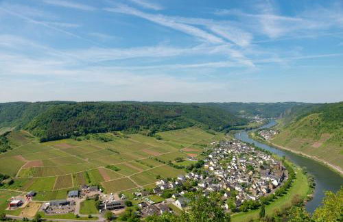 Ferienweingut Gansen Hochgenuss 2 - Foto 9