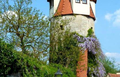 Ferienwohnung Hornig Zwei Terrassen, Parkplatz, separater Eingang - Foto 40