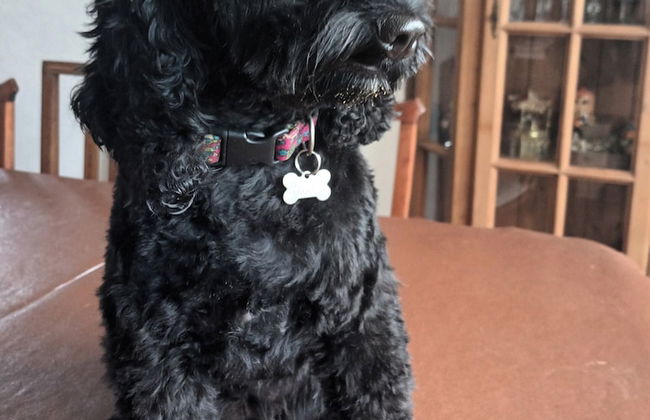 Modern Detached Bungalow - Photo 16