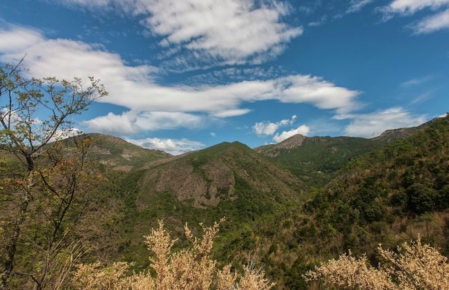 Bungalow, Sestri Levante - Foto 37