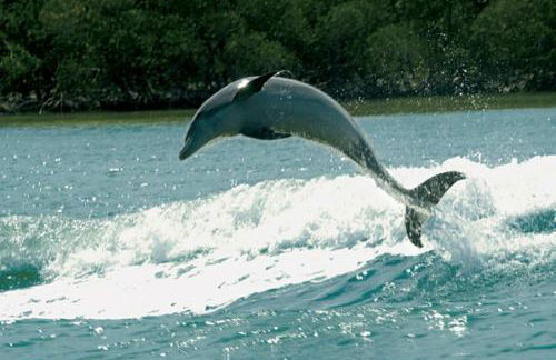 Crown Pointe-Mabry Drive - Photo 48