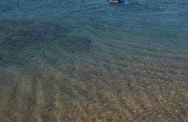 holidayHouse in badesi with pool - Photo 7