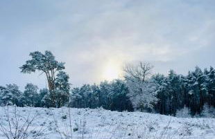 Cosy Concept - nahe Hamburg - Foto 37