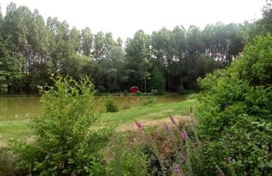 GITE CHOUCHOU - Photo 11