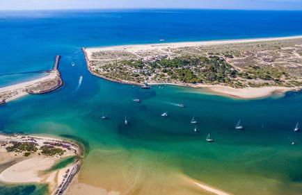 Casa Valente - T2 com Piscina - Foto 10