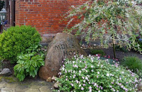 Romantische Whg In Ruhiger Lage - Photo 23