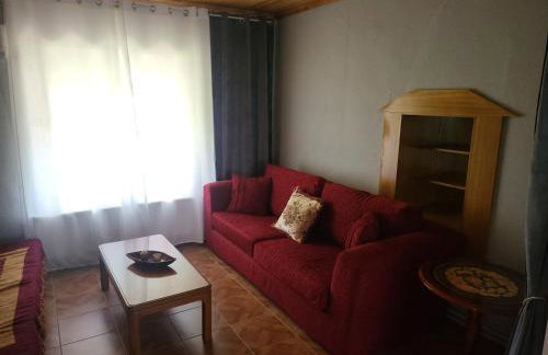 Αυλή της Ελιάς - Foto 13