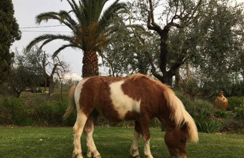 La Casa nel Sole - Foto 25