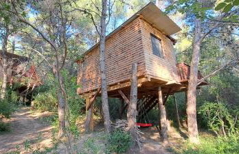 TreeHouses Ljubač Glamping Robinson - Foto 15